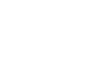 S1 Logo